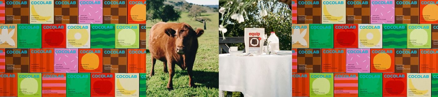 Studio of the Year by Wedge